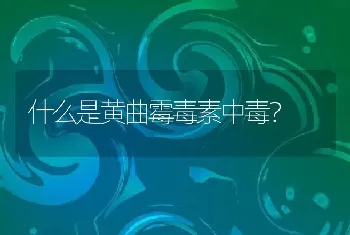 什么是黄曲霉毒素中毒？