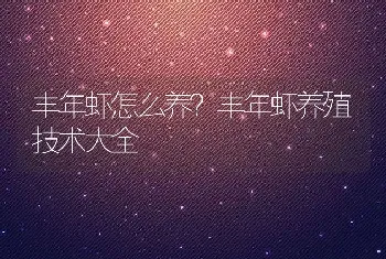 丰年虾怎么养？丰年虾养殖技术大全