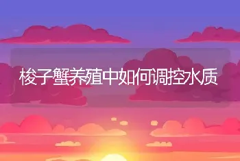 淡水鱼竖鳞病怎么防治