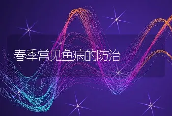 春季常见鱼病的防治