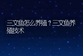 三文鱼怎么养殖？三文鱼养殖技术