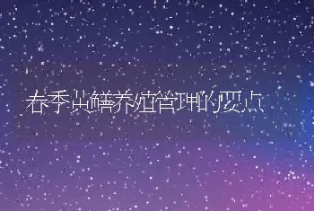 春季黄鳝养殖管理的要点