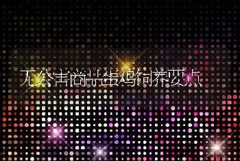 专家谈科学养蜂：科学管理