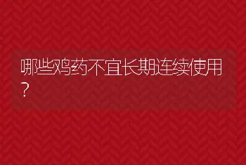 哪些鸡药不宜长期连续使用？