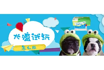 犬瘟试纸怎么用