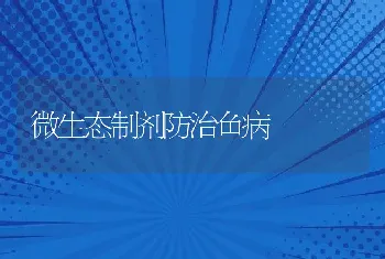 如何保证林蛙窖式安全越冬？