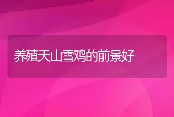 电脑养鸡防疫管理标准化