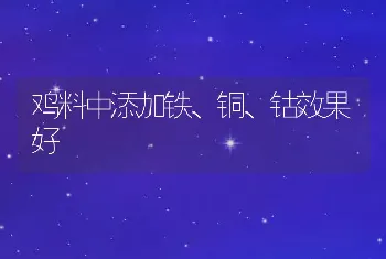 鸡料中添加铁、铜、钴效果好