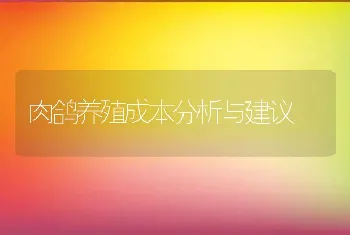 肉鸽养殖成本分析与建议