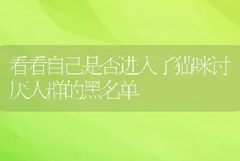 看看自己是否进入了猫咪讨厌人群的黑名单