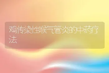 鸡传染性喉气管炎的中药疗法