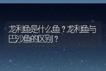 龙利鱼是什么鱼？龙利鱼与巴沙鱼的区别？