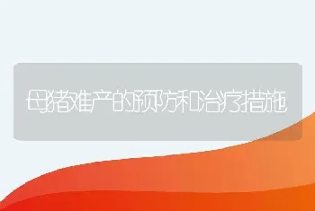 母猪难产的预防和治疗措施