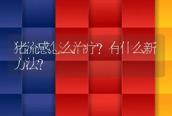 猪流感怎么治疗？有什么新方法？