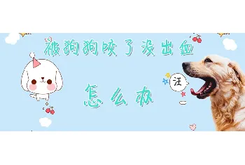 被狗狗咬了没出血怎么办