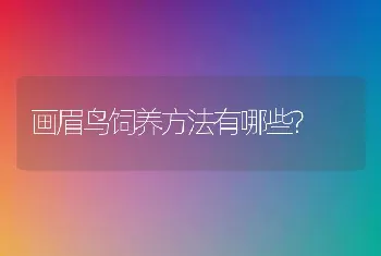 画眉鸟饲养方法有哪些?