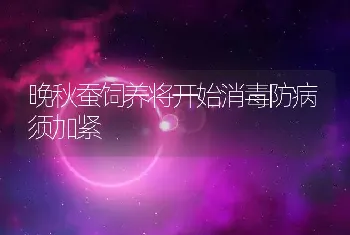 晚秋蚕饲养将开始消毒防病须加紧