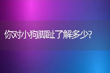 你对小狗脚趾了解多少?