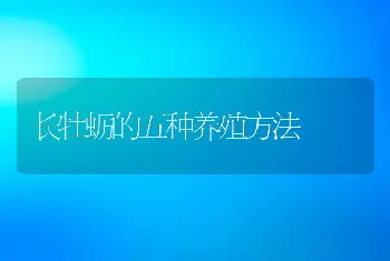 长牡蛎的五种养殖方法