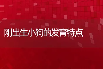 刚出生小狗的发育特点