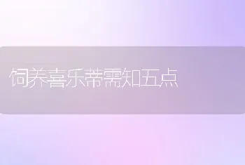 饲养喜乐蒂需知五点