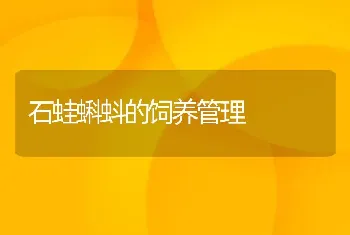 石蛙蝌蚪的饲养管理