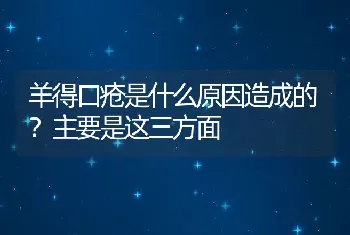 羊得口疮是什么原因造成的？主要是这三方面