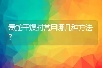 毒蛇干燥时常用哪几种方法？