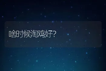 啥时候淘鸡好？