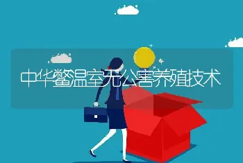 中华鳖温室无公害养殖技术