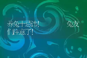 养兔十忌讳！----兔友们注意了！