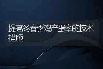 提高冬春季鸡产蛋率的技术措施