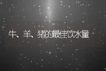 牛、羊、猪的最佳饮水量