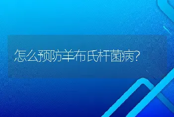 怎么预防羊布氏杆菌病？