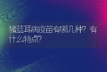 猪蓝耳病疫苗有哪几种？有什么特点？