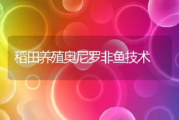 稻田养殖奥尼罗非鱼技术