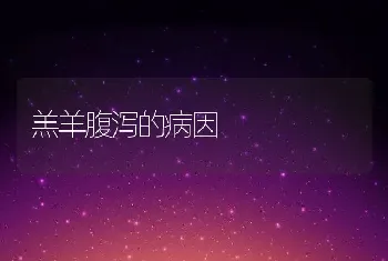 羔羊腹泻的病因