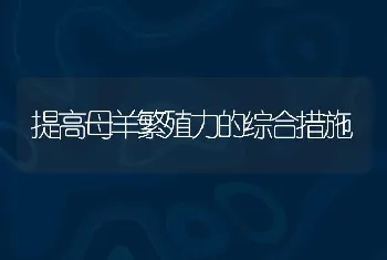 提高母羊繁殖力的综合措施