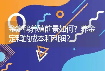 如何诊断乌龟疥疮病？