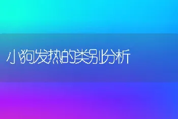 小狗发热的类别分析