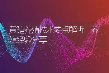 黄鳝养殖技术要点解析 养殖经验分享