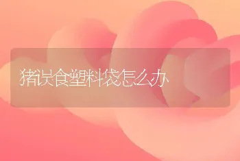 蜂群的检查：箱外观察