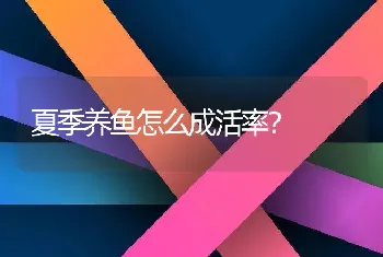 夏季养鱼怎么成活率？