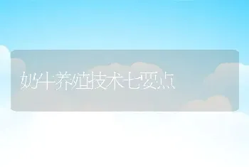 奶牛养殖技术七要点