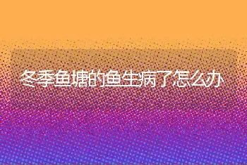 冬季鱼塘的鱼生病了怎么办