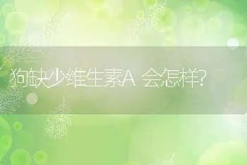 狗缺少维生素A会怎样?