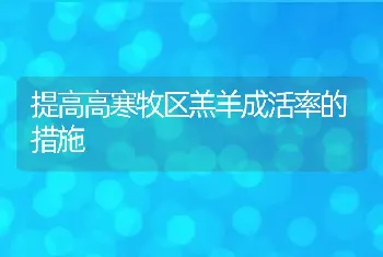 提高高寒牧区羔羊成活率的措施