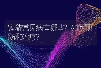 家猫常见病有哪些？如何预防和治疗？