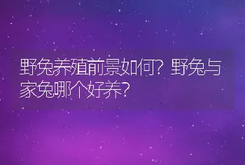 野兔养殖前景如何？野兔与家兔哪个好养？