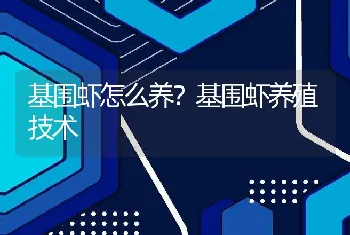 基围虾怎么养？基围虾养殖技术